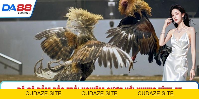 DA88 fym - Link Truy Cập Da88.Com Chính Thức 2026 - cudaze.site